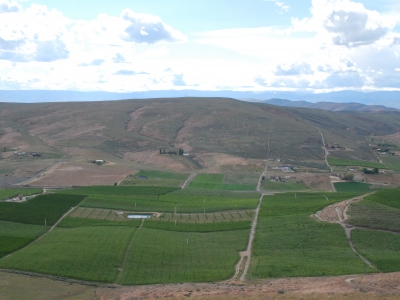 2008