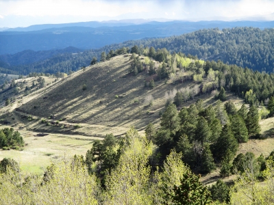 Rosebud Hill