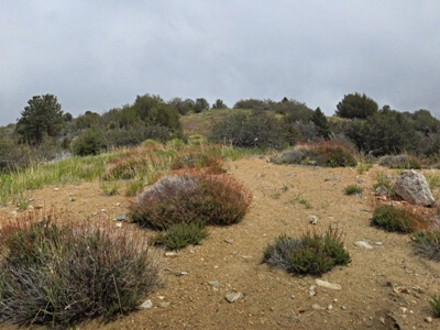 East Table Mountain