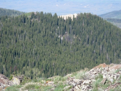 Sand Point