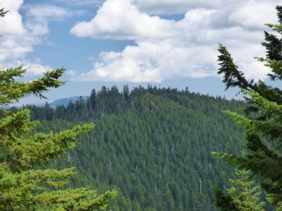 Green Knob