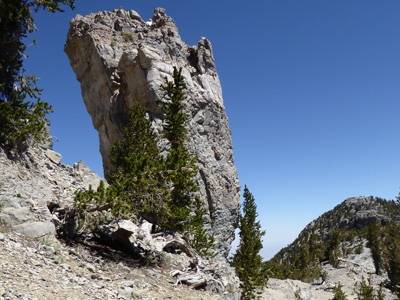 Devils Thumb