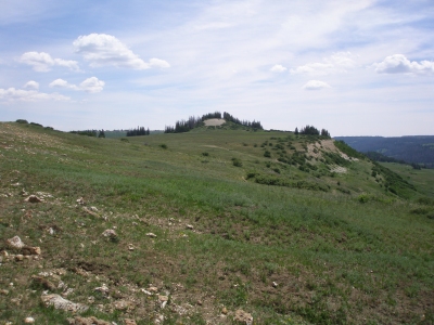 Swedish Knoll