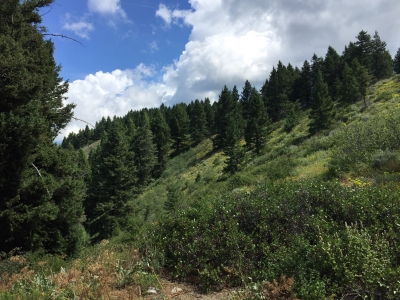 Boise Peak