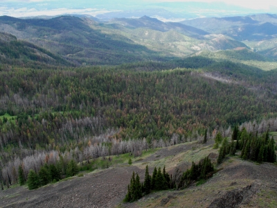 Snowshoe Ridge