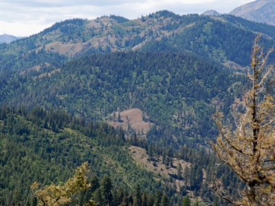 "Roughhouse Mountain"
