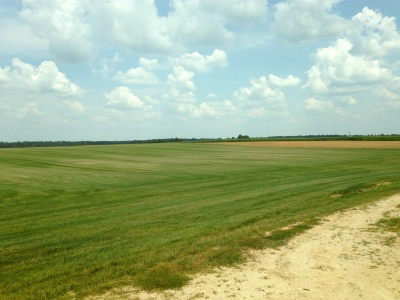 Cumberland County HP