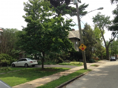 Philadelphia County HP