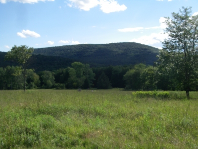Red Hill