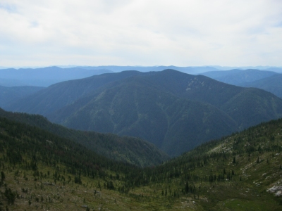 Scurvy Mountain