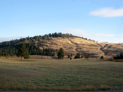 Gold Hill