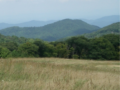 Brushy Mountain