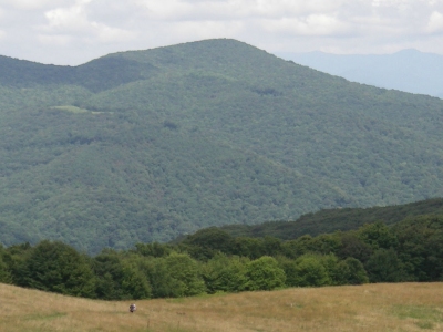 Bluff Mountain