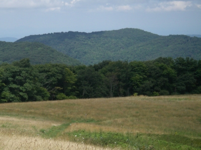 Walnut Mountain