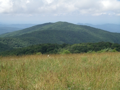 Laurel Mountain