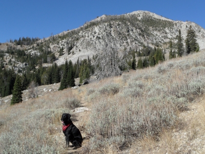 Newman Peak