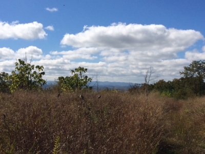 Price Mountain