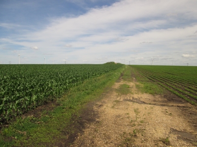 Mower County HP
