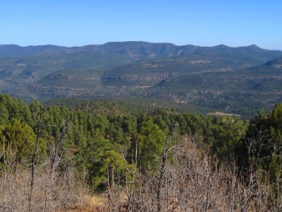 Tadpole Ridge