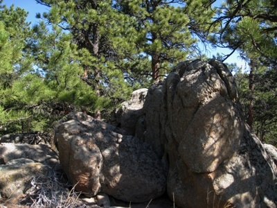 Rowell Hill