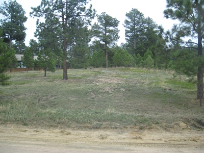 Vollmer Hill