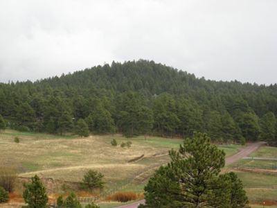 Spruce Hill
