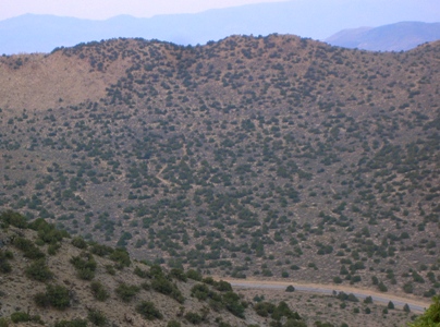 Coyote Ridge