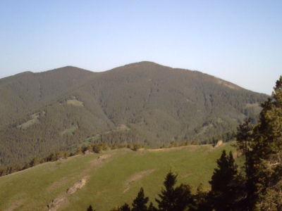 Pinewood Peak