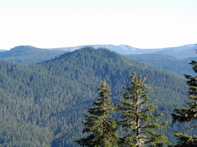 Carlton Ridge