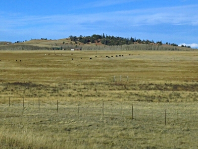 Meier Ridge
