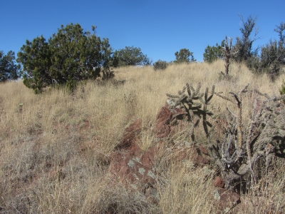 Red Hill