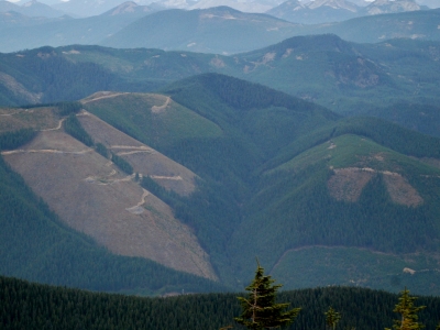 Bald Mountain