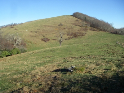 Mikes Knob