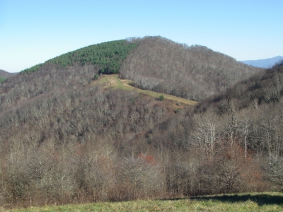 Dick Knob