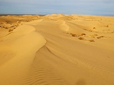 North Algodones Dunes Wilderness HP