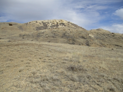 Shale Hills