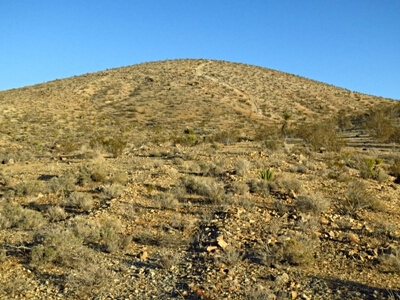 3641