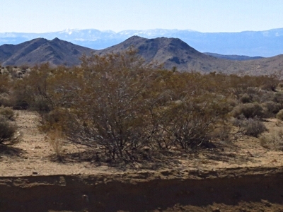 Fry Mountains (HP)