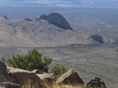 Roostercomb