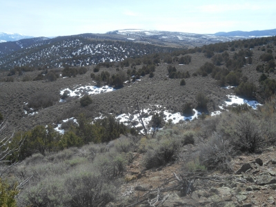 Bear Ridge