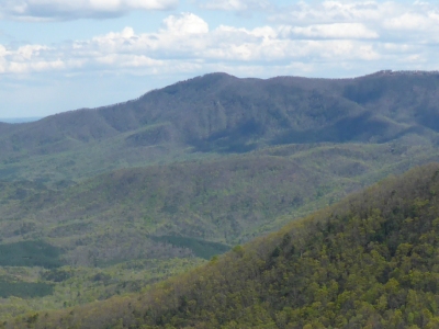 White Oak Mountain