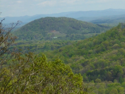 Fox Mountain