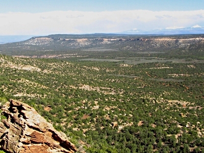 Monogram Mesa