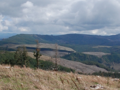 Porcupine Ridge