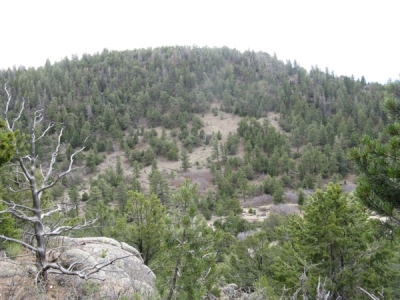 Cedar Springs Mountain
