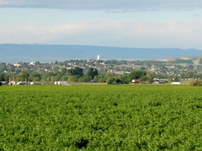 Harrison Hill