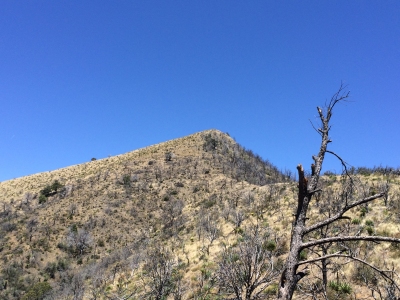 Shaw Peak