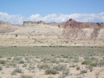 Calf Mesa