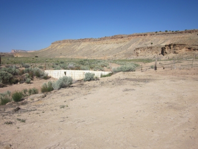Limestone Bench
