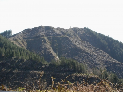 Little Euchre Mountain